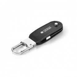 USB BRAGG 4 GB  € 6,60